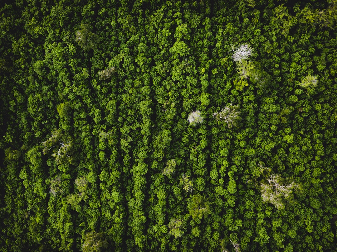 Ecology