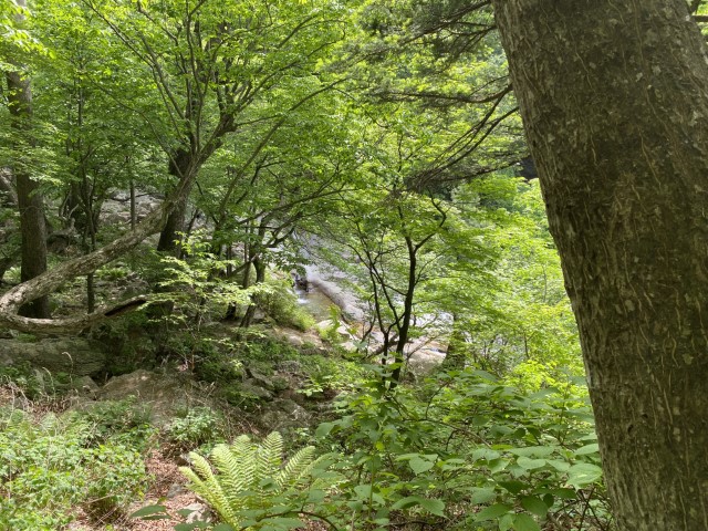 설악계곡