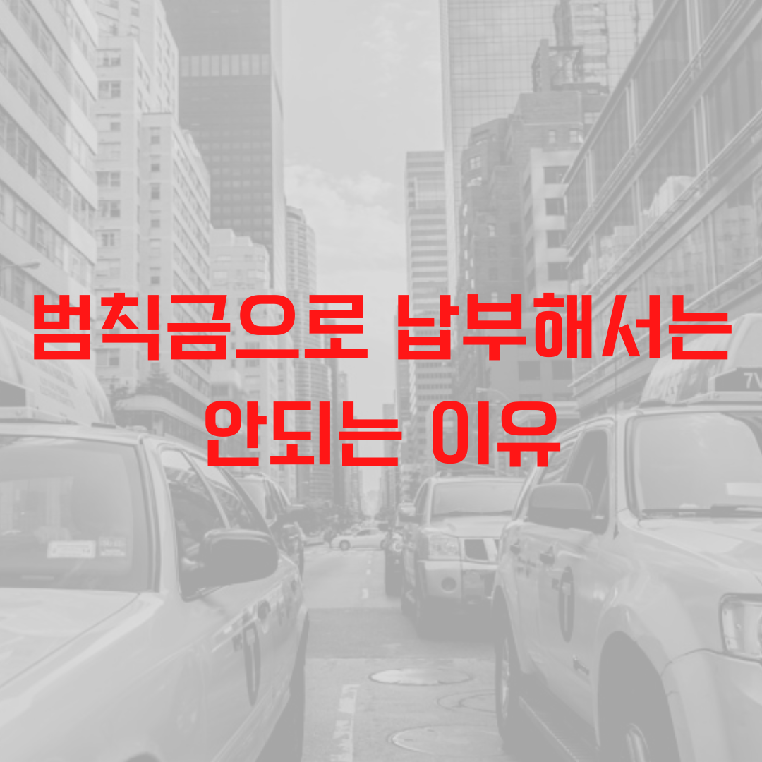  범칙금 과태료 차이와 범칙금 납부가 끼치는 영향