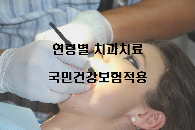  노다지네 잡학다식