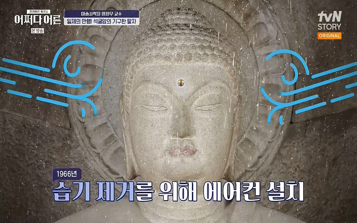 어쩌다 어른.E05.220708p-NEXT.mp4_20220904_175101.932.jpg