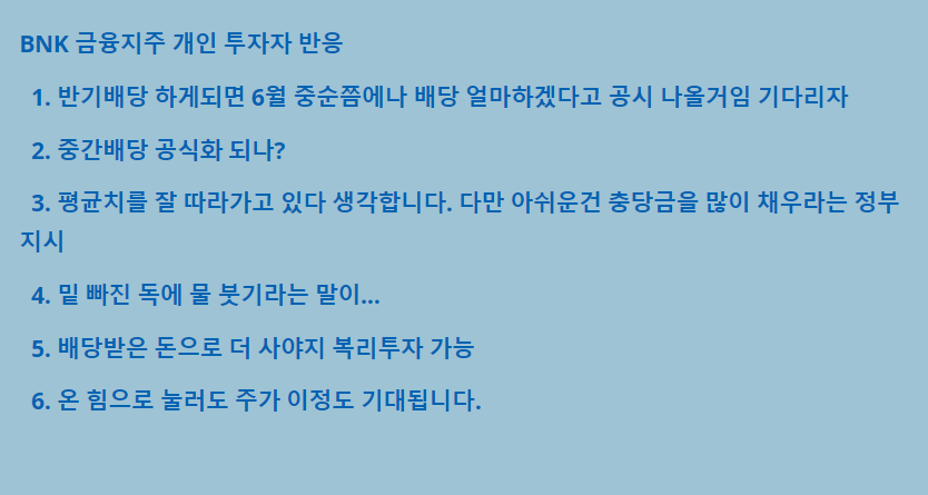 BNK금융지주 개인투자자 반응