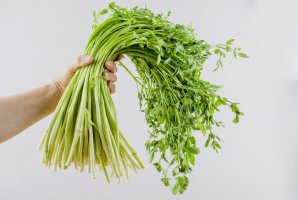 미나리의 11가지 효능과 부작용 및 보관법과 세척법