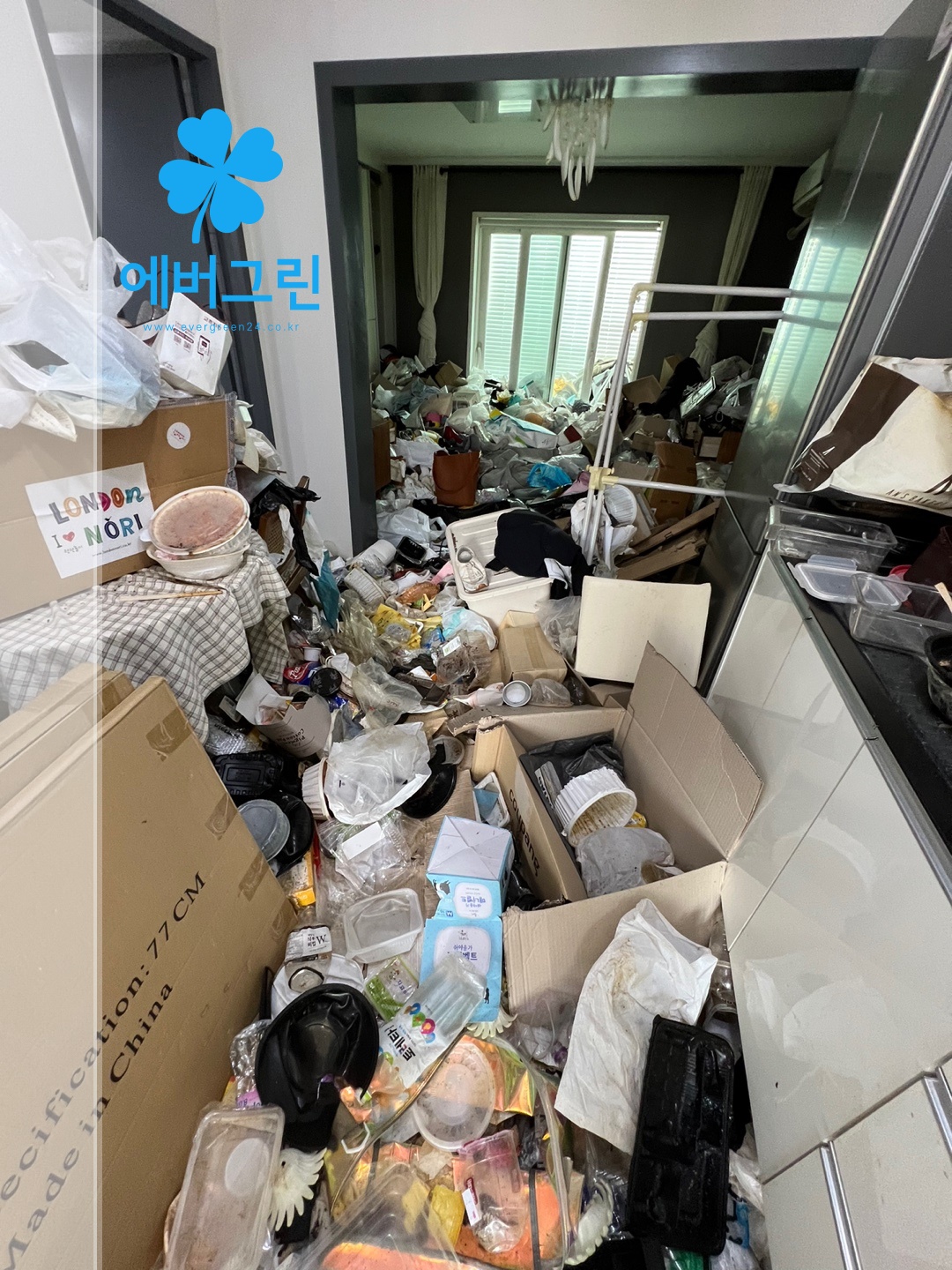  부천 중동 반려견 해충 쓰레기집청소비용 탈취작업까지