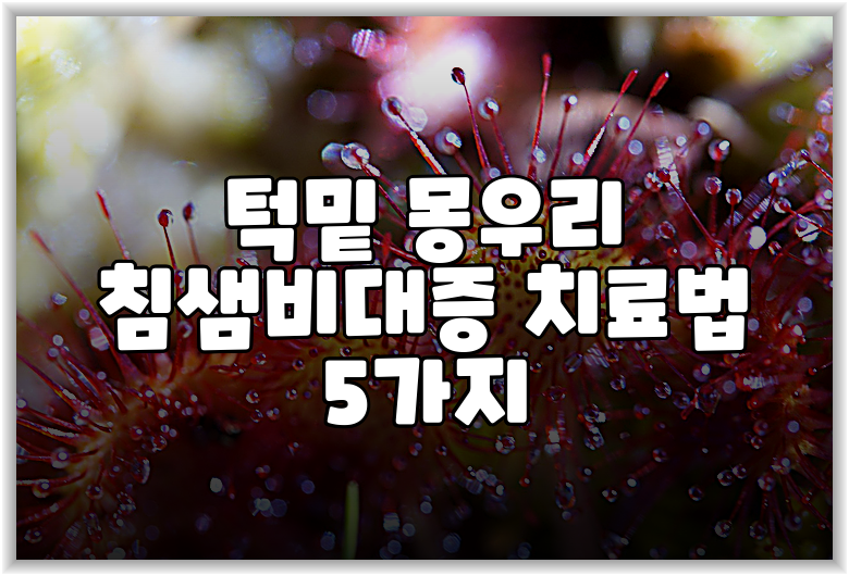 턱밑 몽우리 침샘비대증 치료법 5가지