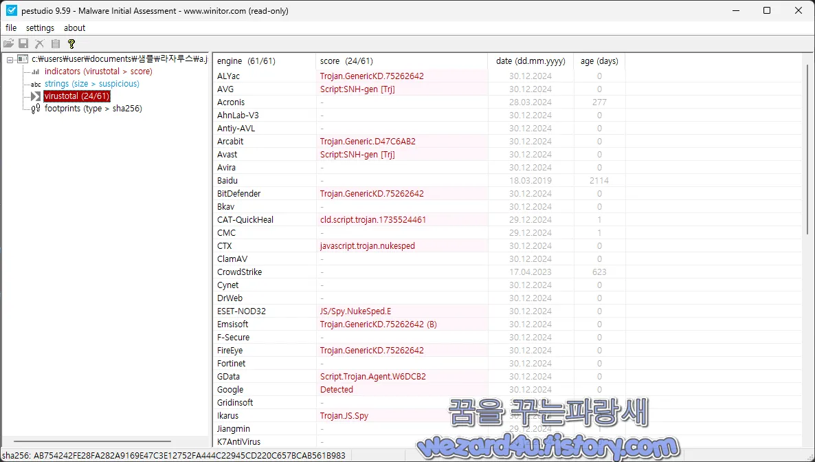 pestudio 본 악성코드