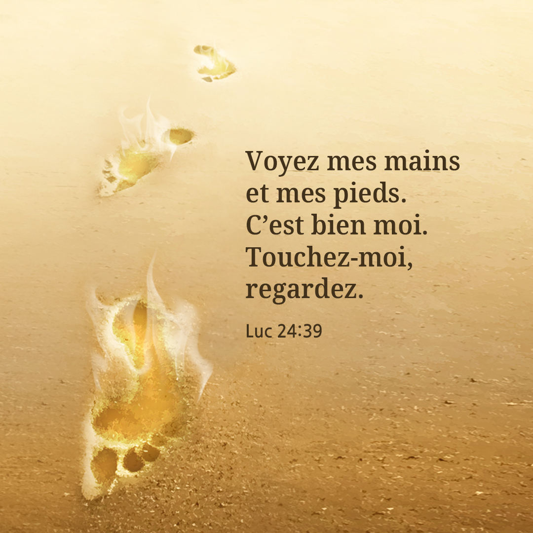 Voyez mes mains et mes pieds. C&rsquo;est bien moi. Touchez-moi&#44; regardez. (Luc 24:39)