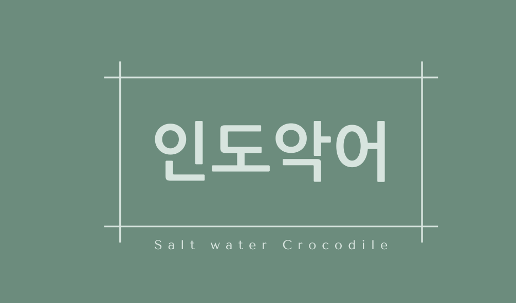 인도악어(Salt water Crocodile)