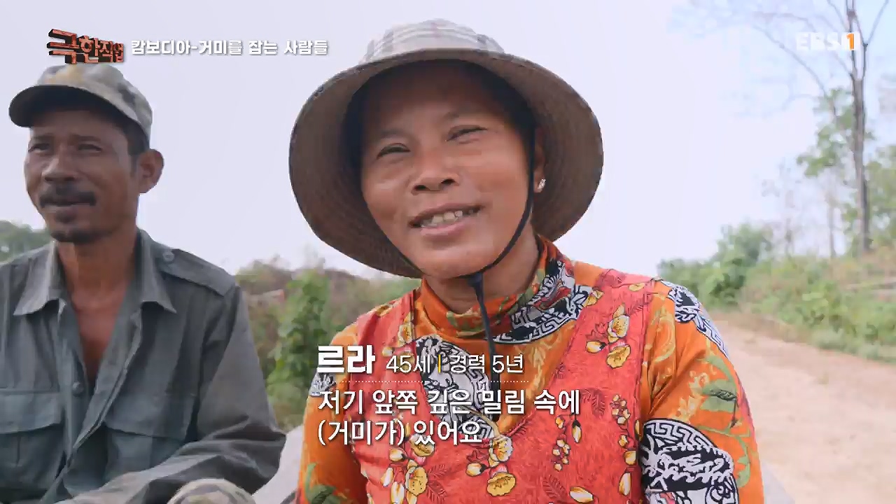 TV - 전 국민의 평생학교 EBS캄보디아 - 독충을 잡는 사람들.mp4_20230501_173357.517.jpg
