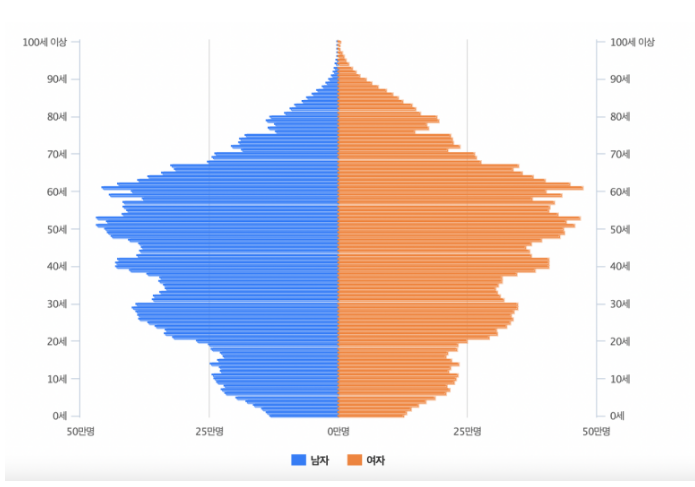 2022년 인구피라미드