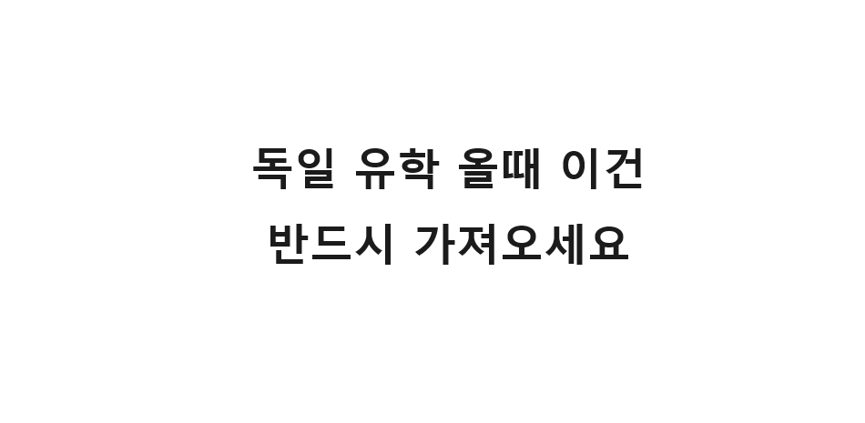  독일 유학 올 때 한국에서 이건 반드시 가져오세요.
