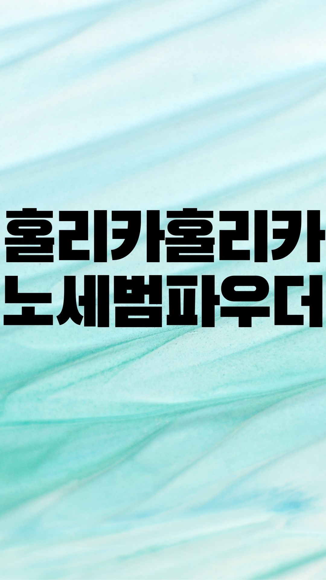  홀리카홀리카 퓨리 포어 노세범 파우더