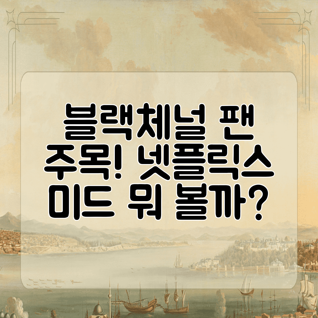 블랙체널 팬 주목! 넷플릭스 미드 뭐 볼까