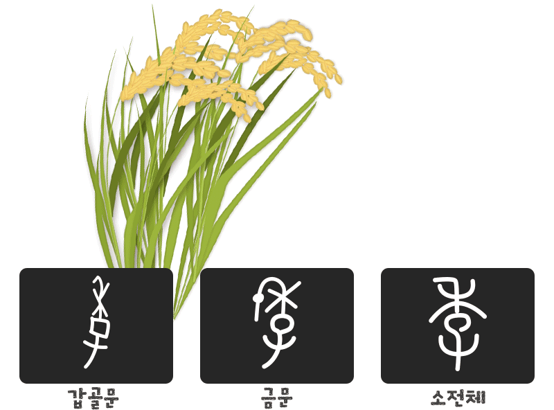季(끝/계절 계) 갑골문 금문 소전체