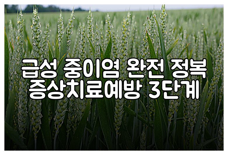 급성 중이염 완전 정복 증상치료예방 3단계