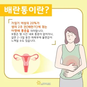 배란통 증상 및 시기 원인_7