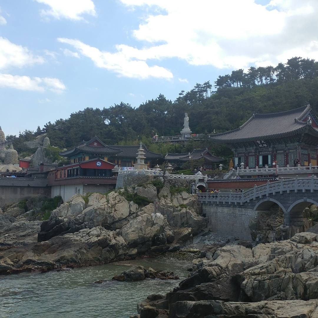 푸른 동해 바다를 품은 부산 기장 해동용궁사 힐링 산책~
