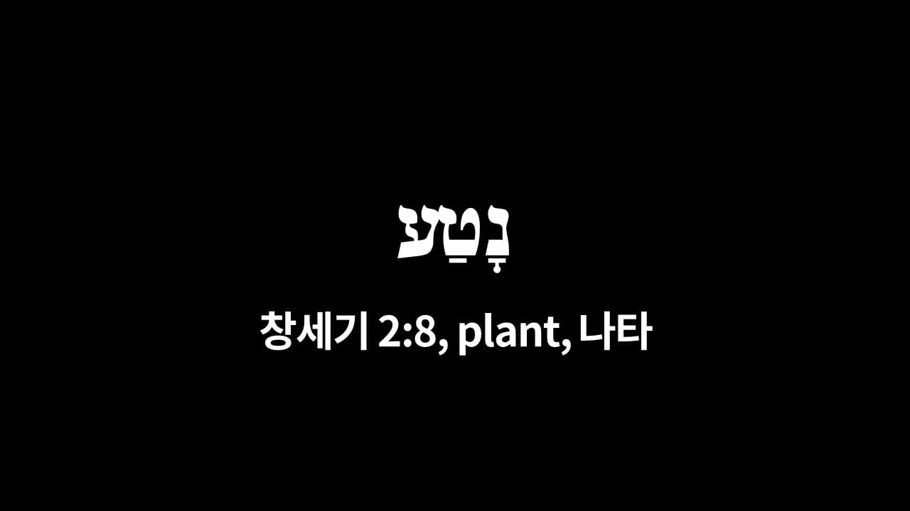 창세기 2장 8절&#44; 창설하시고(נָטַע&#44; plant&#44; 나타) - 히브리어 원어 정리