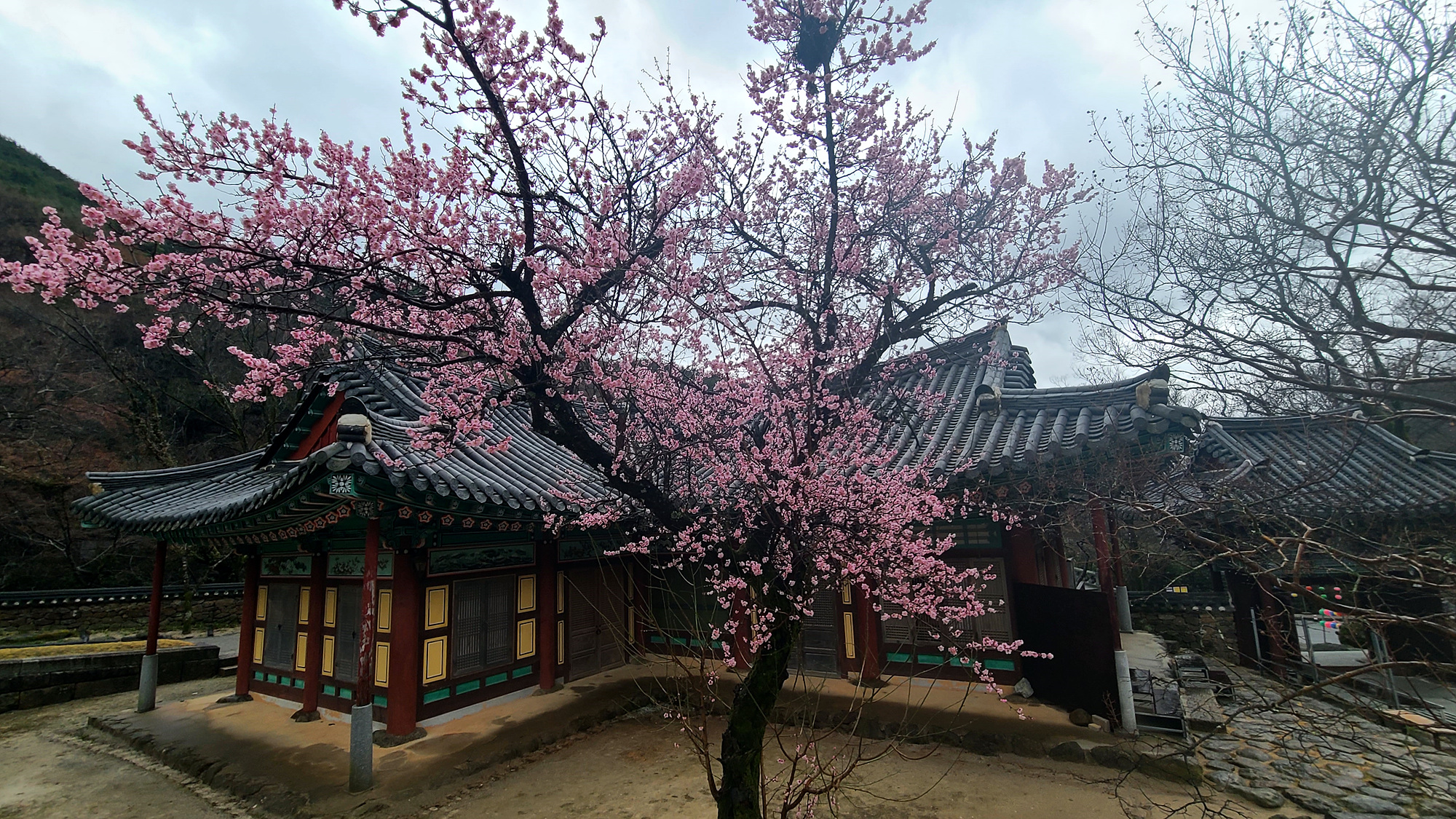 동주모터스 이미지