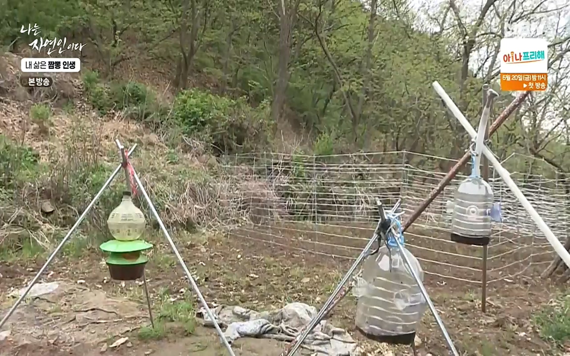 나는 자연인이다.E502.220519p-NEXT.mp4_20220519_182351.700.jpg