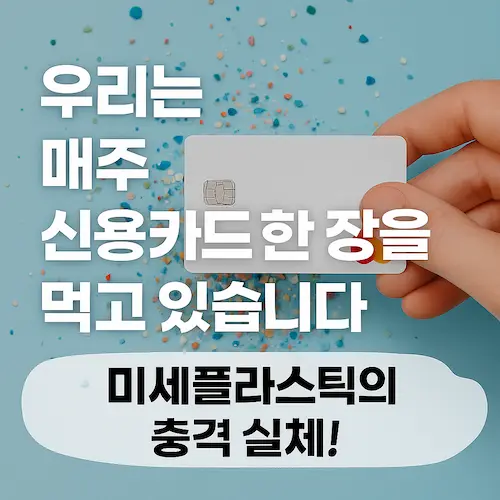 미세플라스틱, 매주 신용카드 한 장을 먹고 있다고? 그 충격의 진실