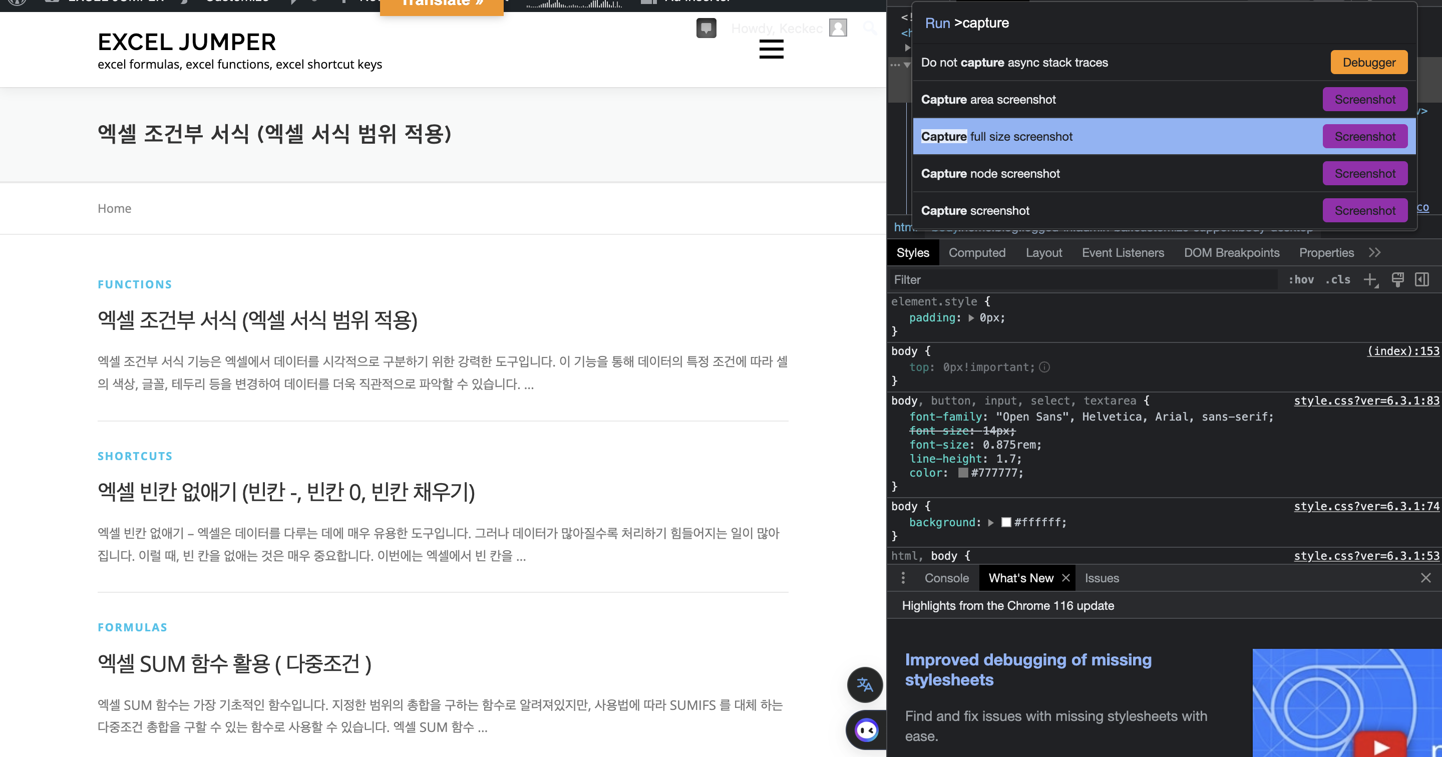 일반적인 화면 캡쳐입니다.