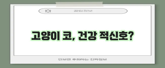 고양이 코 후각 코 색깔 코 건조 꼼꼼하게 알아봐야 합니다!