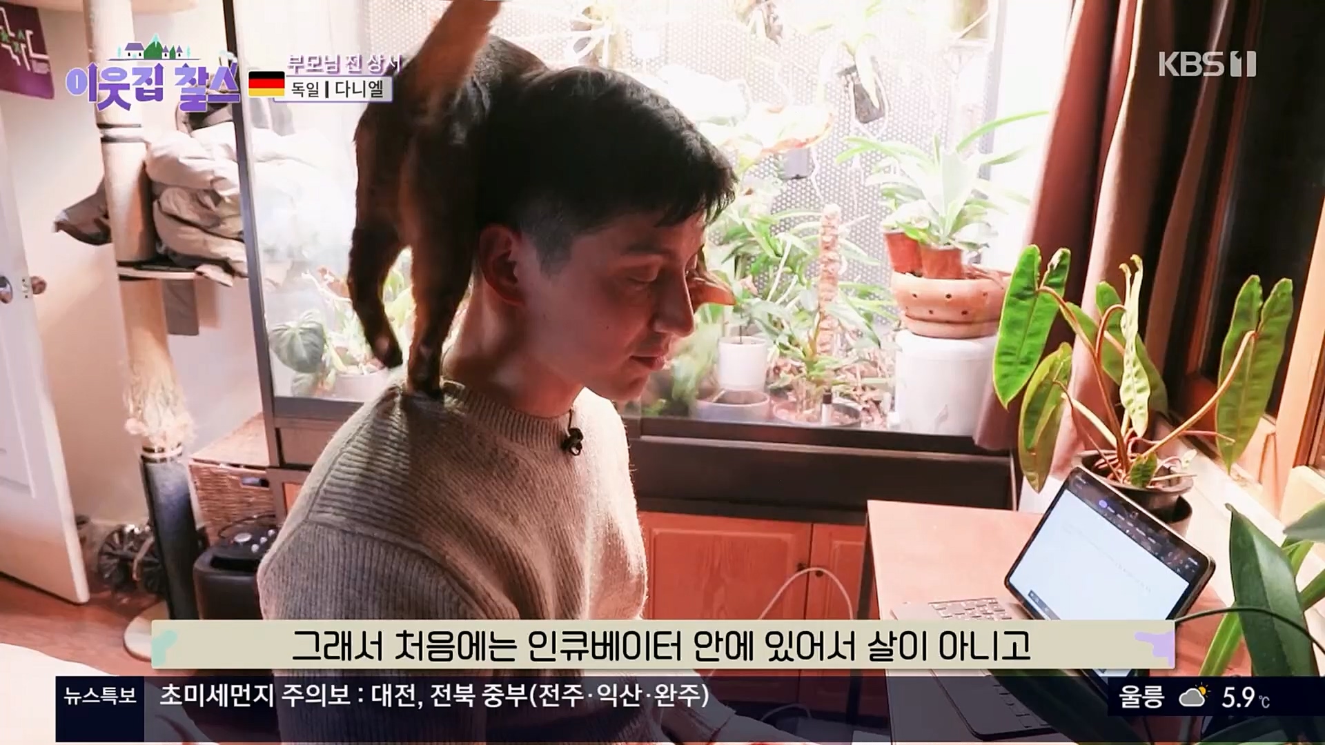 이웃집 찰스.E374.230207p.H264-F1RST.mp4_20230208_202017.089.jpg