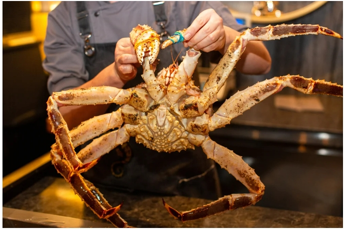 세계에서 가장 큰 킹 크랩 VIDEO:Biggest Crabs in the World