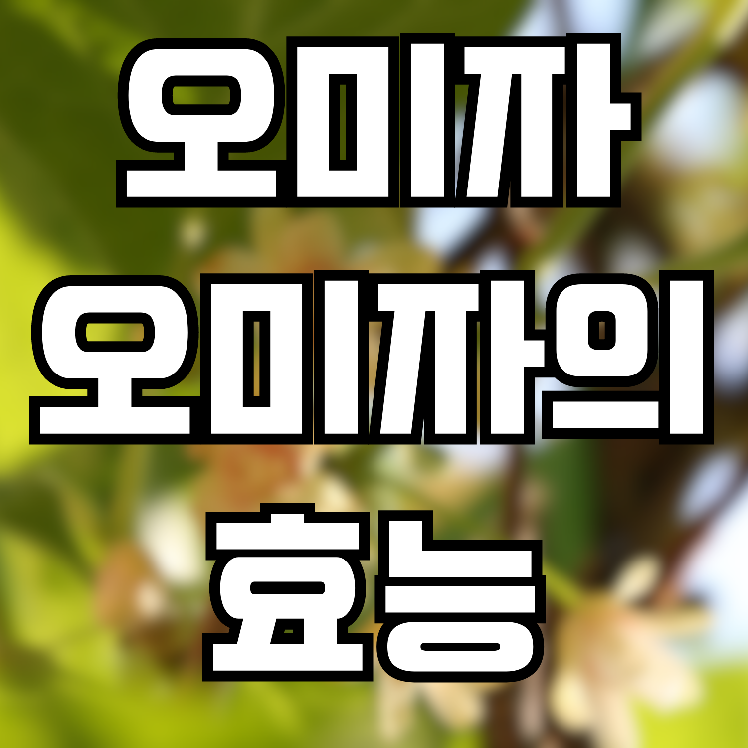  오미자, 오미자의 효능