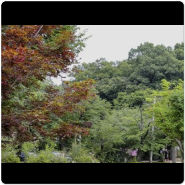 경기도 장흥 가볼만한 곳 베스트 10 8