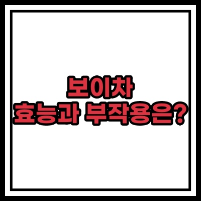  보이차 효능과 부작용