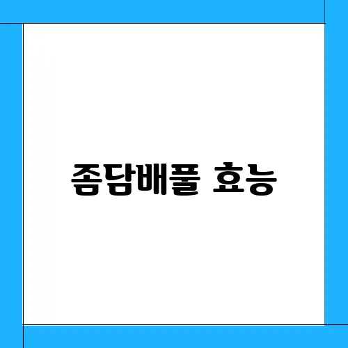 좀담배풀 효능, 부작용 및 활용법