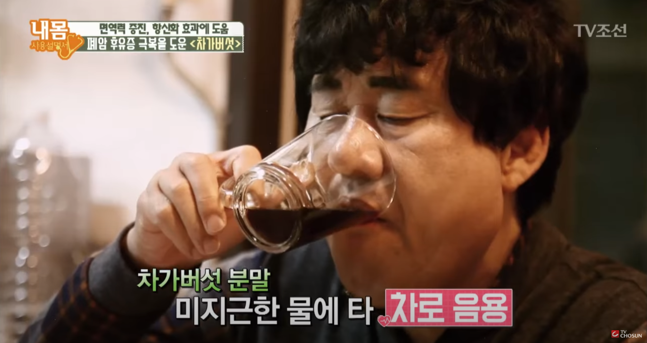  차가버섯 효능과 부작용