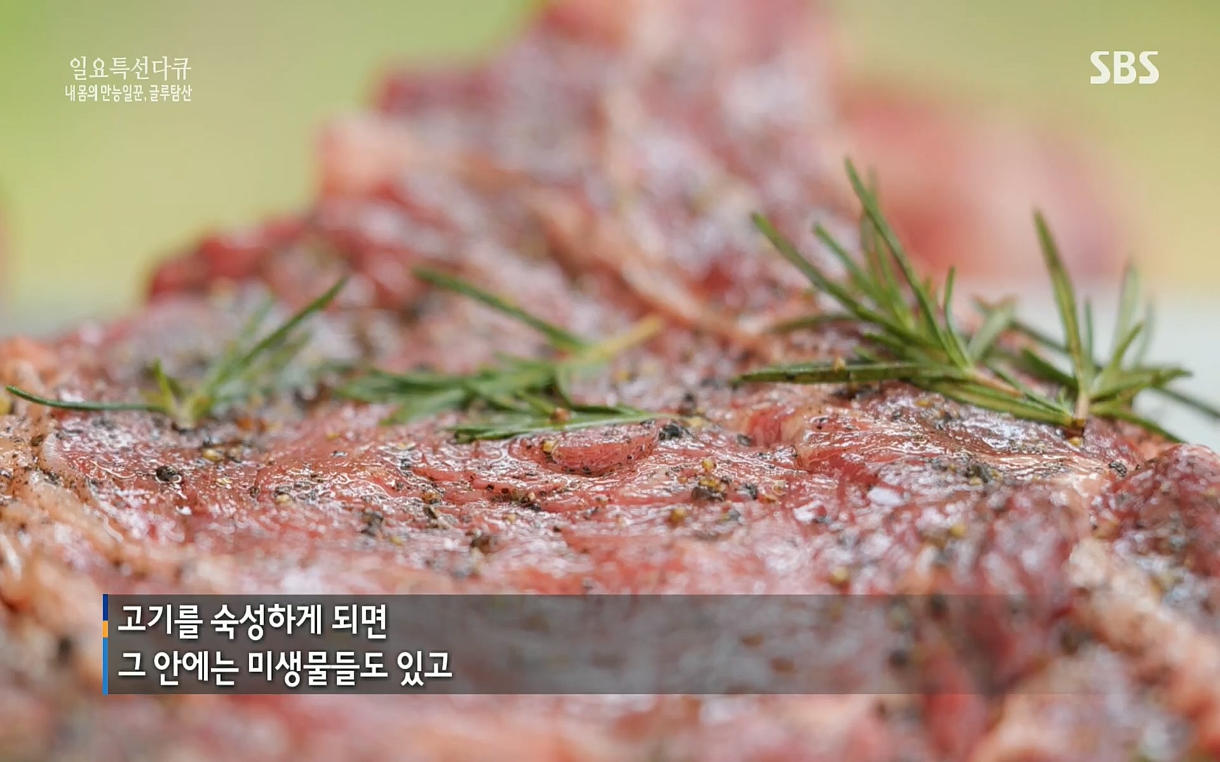 일요 특선 다큐멘터리.E283.220717p.H264-F1RST.mp4_20220718_202845.445.jpg