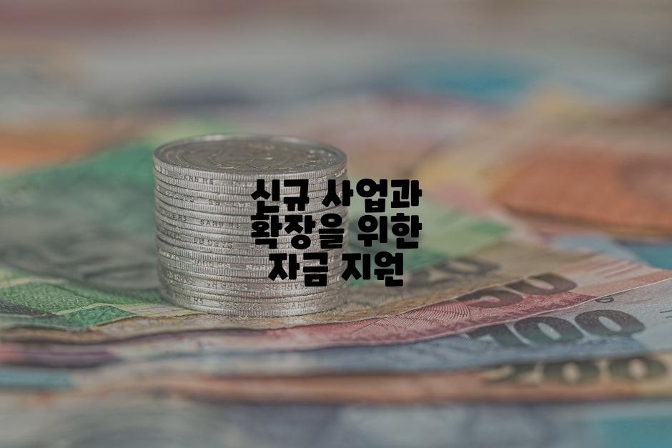 신규 사업과 확장을 위한 자금 지원