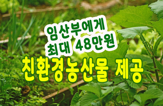  [정책꿀팁]임산부 최대 48만원 농산물꾸러미 꽁짜로 받기