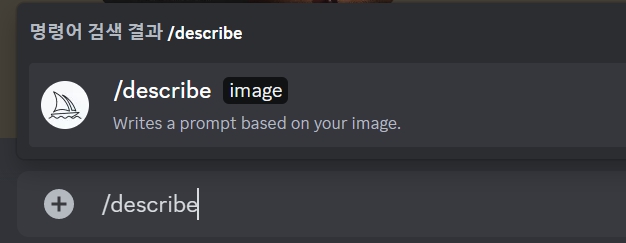 /describe 명령어 입력