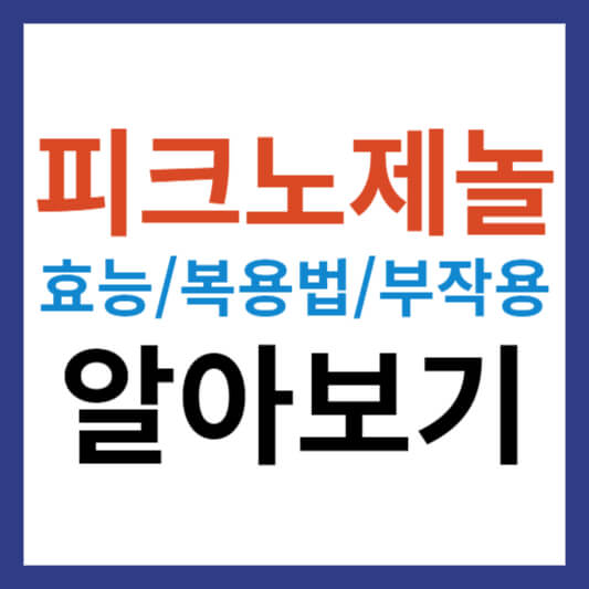 피크노제놀 효능과 복용법 및 피크노제놀 부작용 알아보기