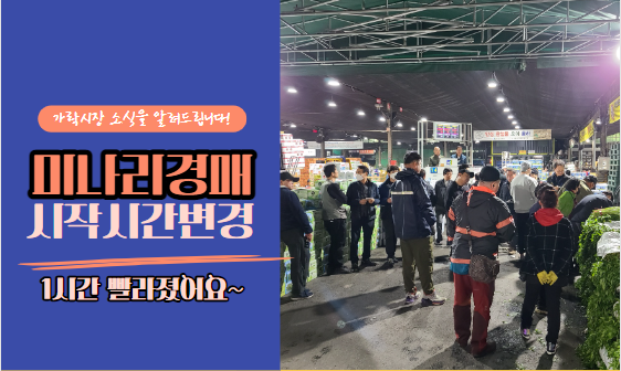  [가락시장 소식] 5월 1일부터 미나리 경매시작 시간이 1시간 앞당겨 집니다!
