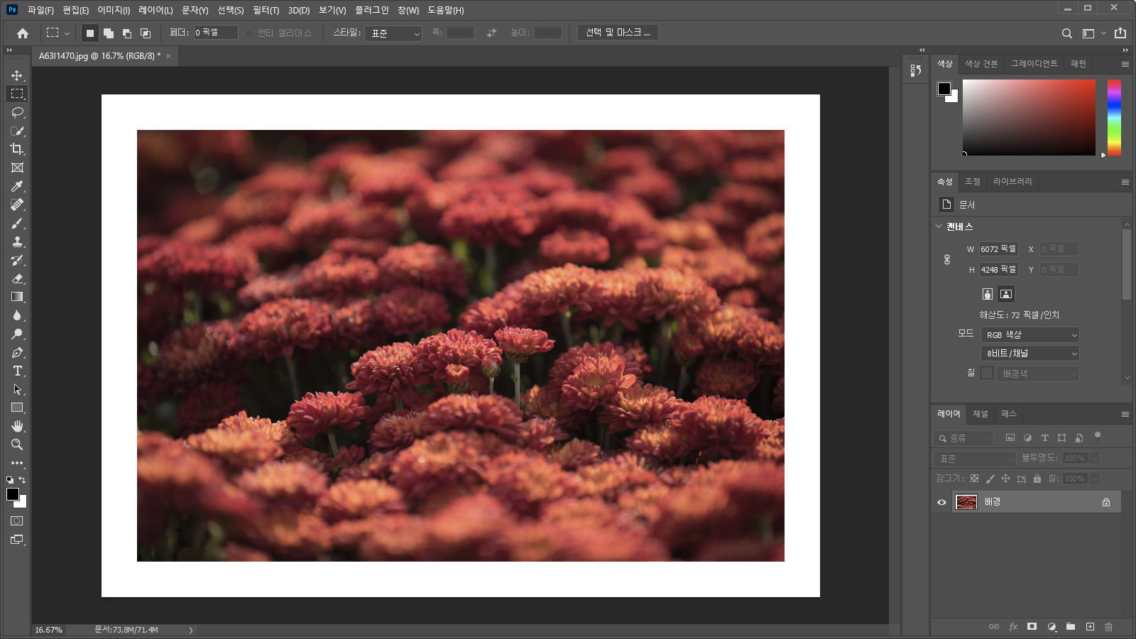 여백 생성 모습