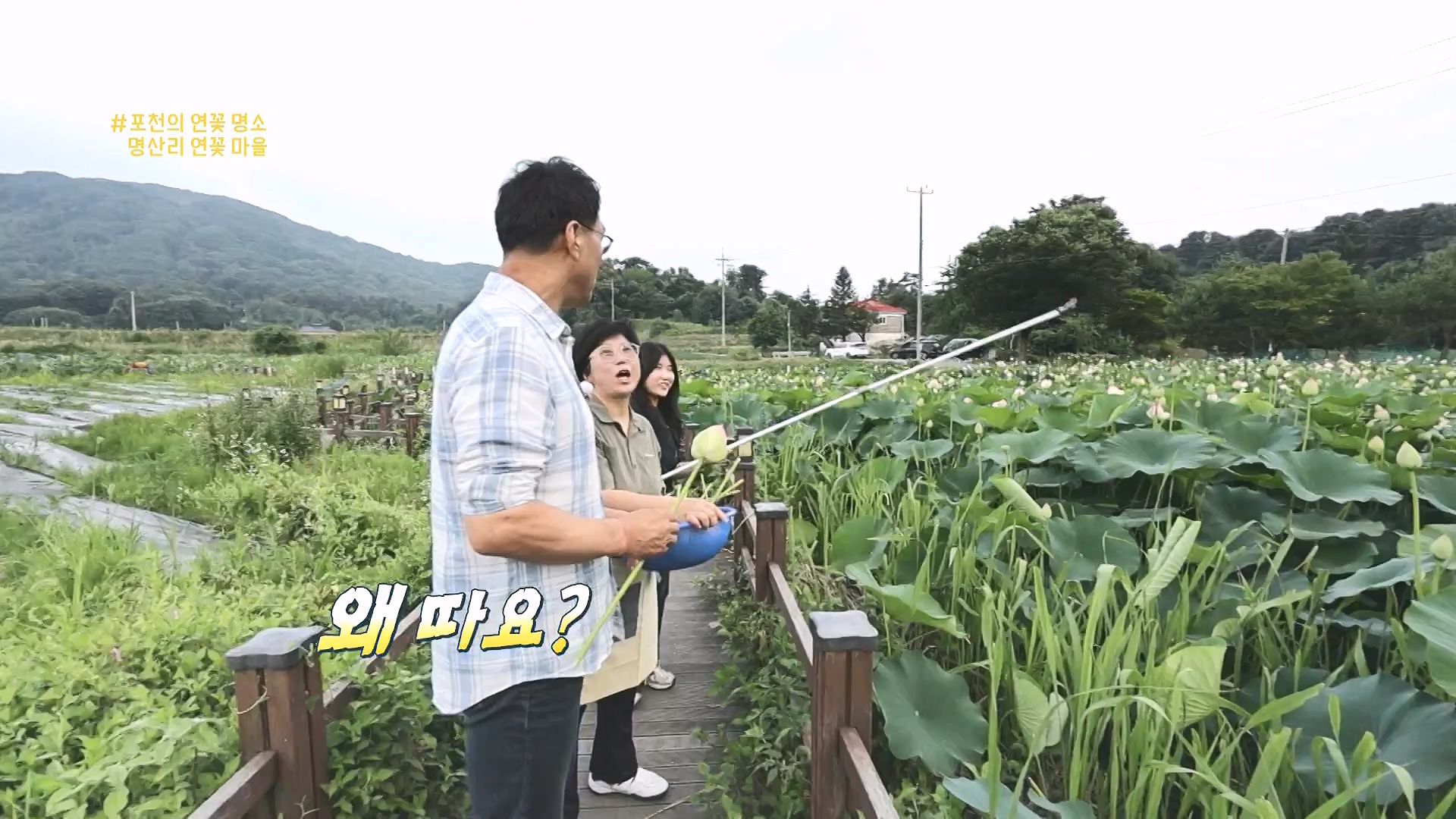 동네 한 바퀴.E284.240727p-NEXT.mp4_20240728_162335.107.jpg