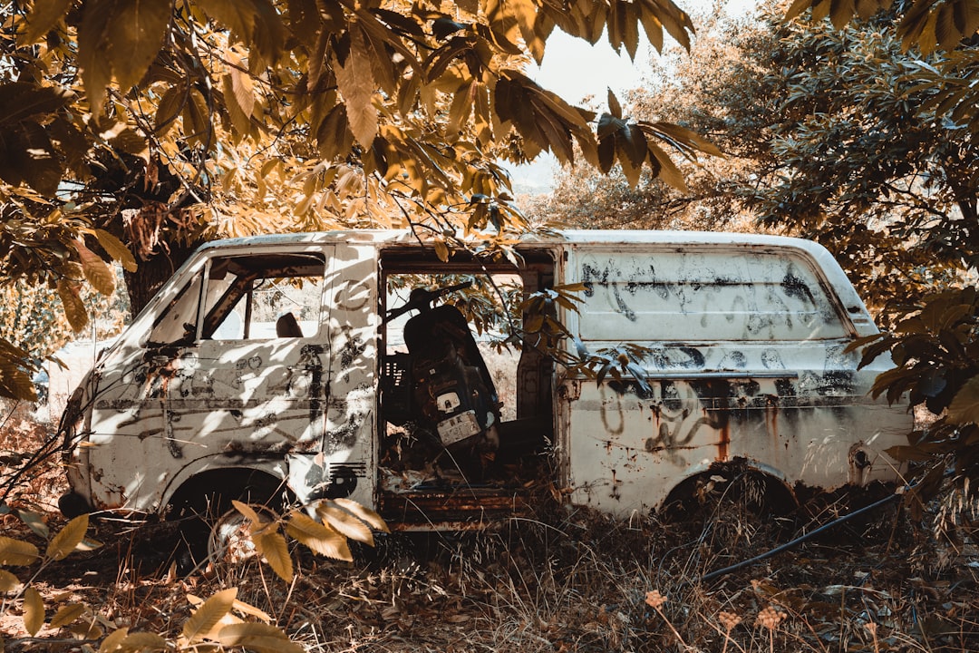 'Van'