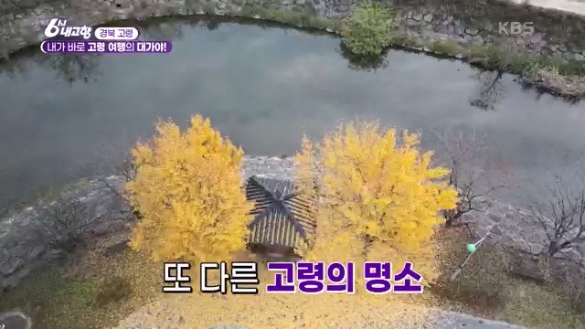 [7910회] 6시 내고향 - KBS[7910회] 6시 내고향[고령 축제 특집 중계] 과거와 현재의 만남! 개실마을 - 경북 고령 고령 가야 탐험대 보물을 찾아라 - 경북 고령 [출장! 내고향 요리사] 철의 왕국, 후손을 위한 요_20231115_205759.051.jpg