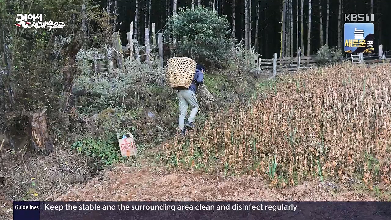 걸어서 세계속으로.E819.231126p-NEXT.mp4_20231126_175509.609.jpg