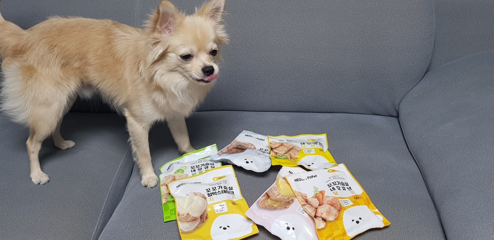 [강아지간식]허닭x핏펫몰 꼬꼬가슴살 맛있는 냄새로 2