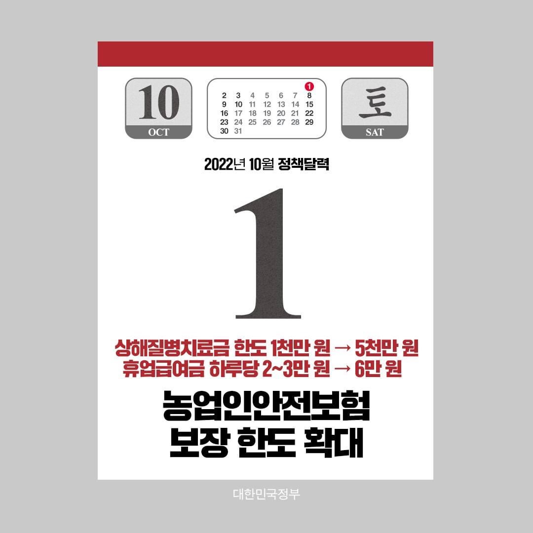 정책달력