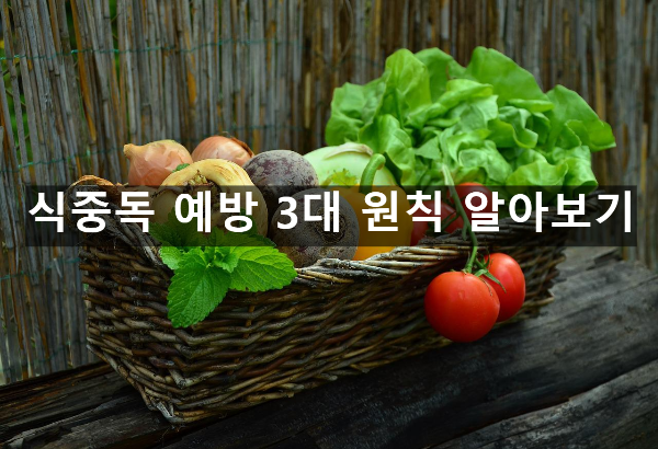  식중독 예방 3대 원칙 알아보기