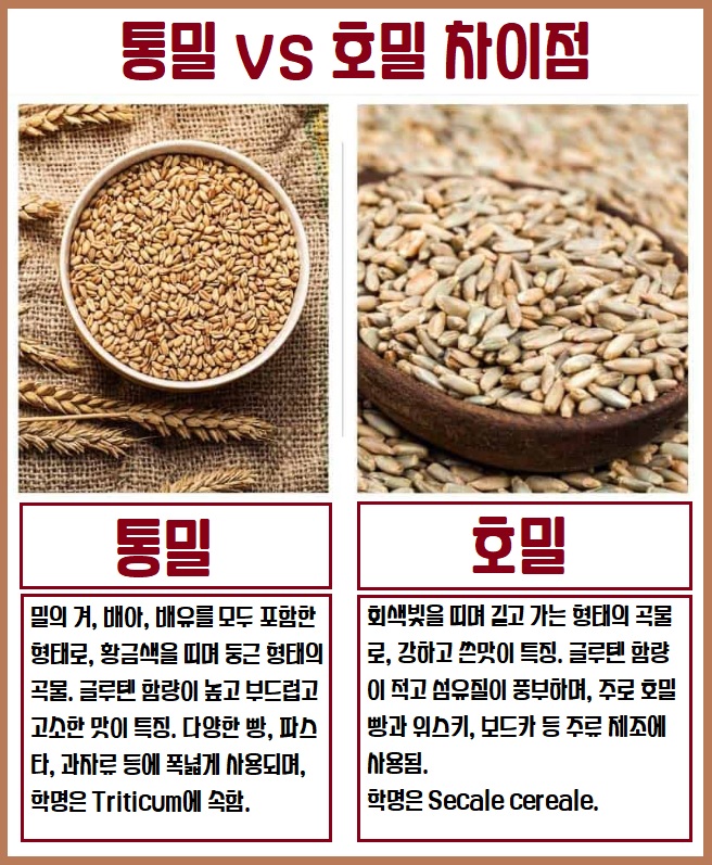 호밀과 통밀 차이