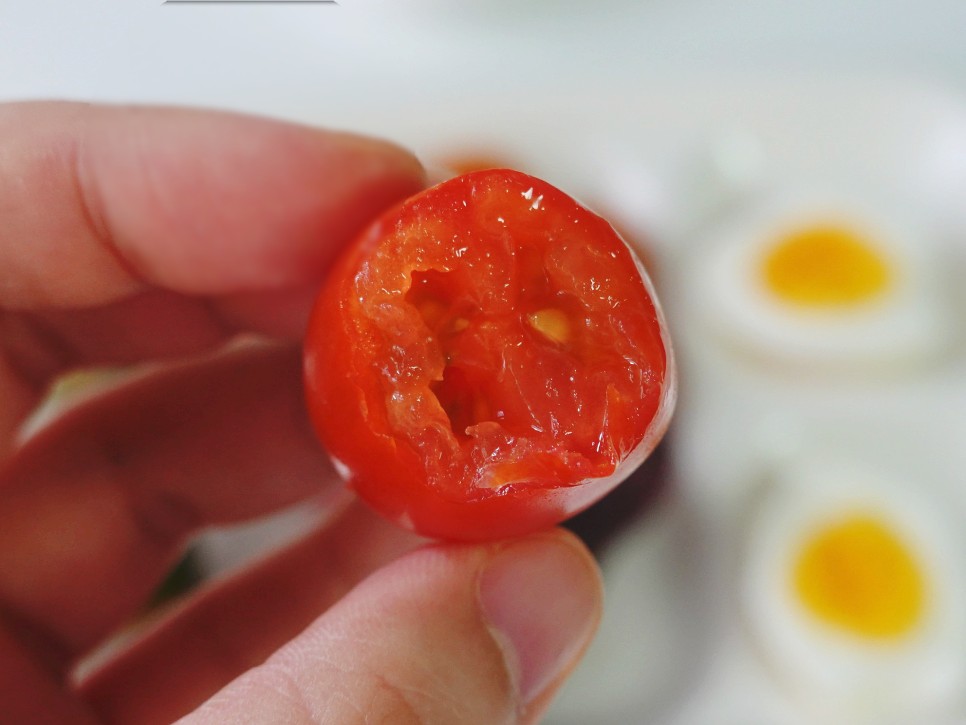 토마토들 산지직송 컬러 10